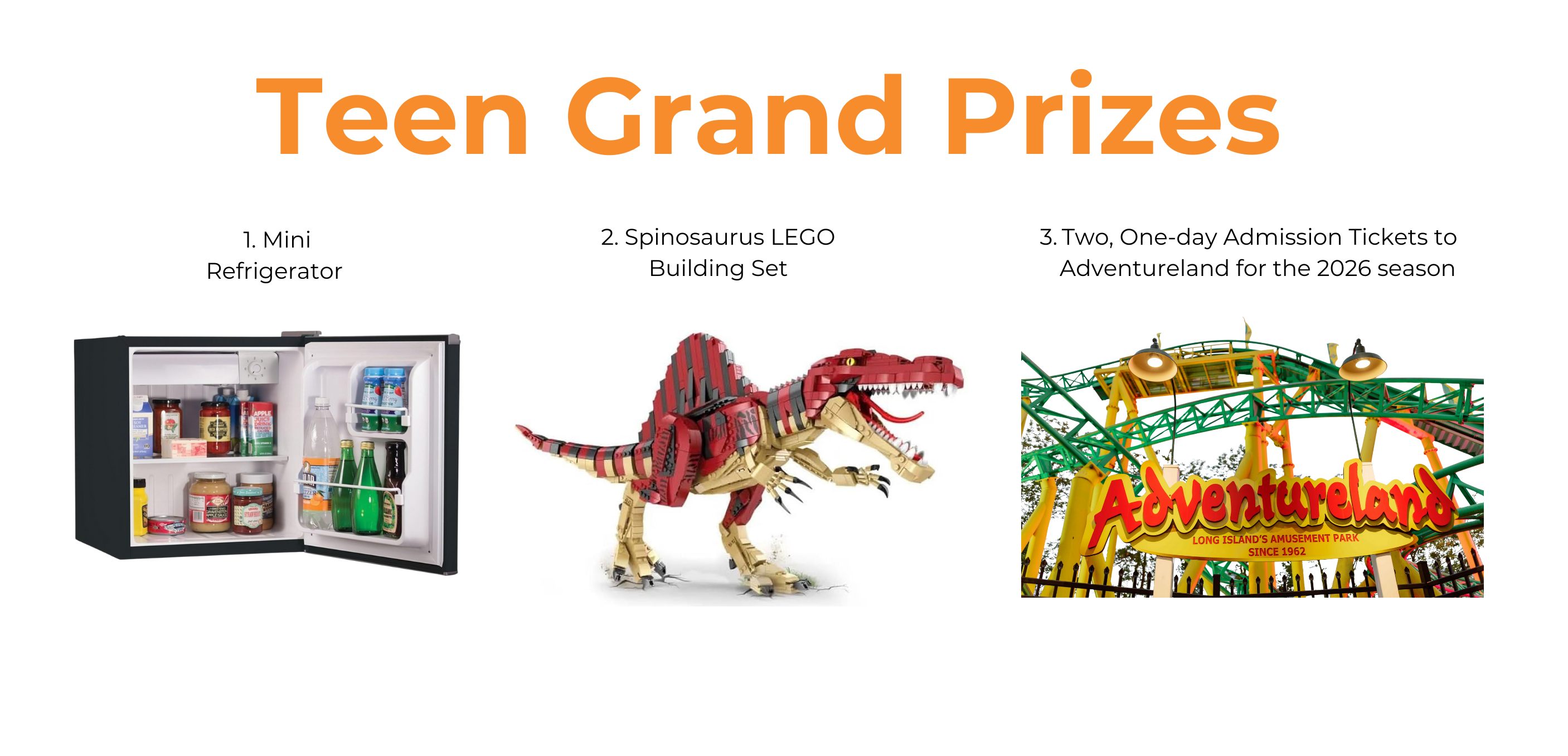 Image of teen grand prizes: mini fridge, LEGOs, Adventureland tickets.