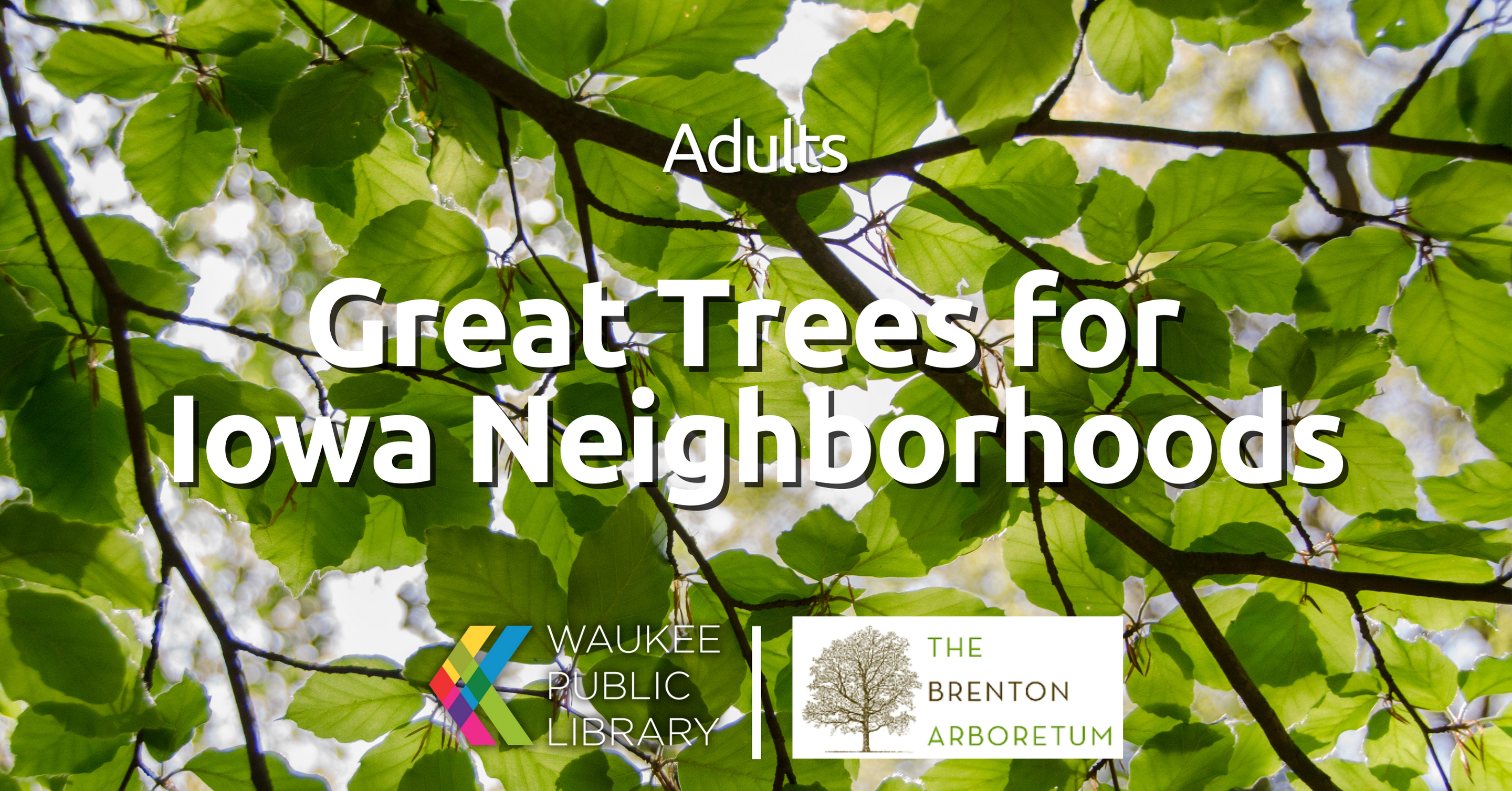 Great Trees for Iowa Neighborhoods