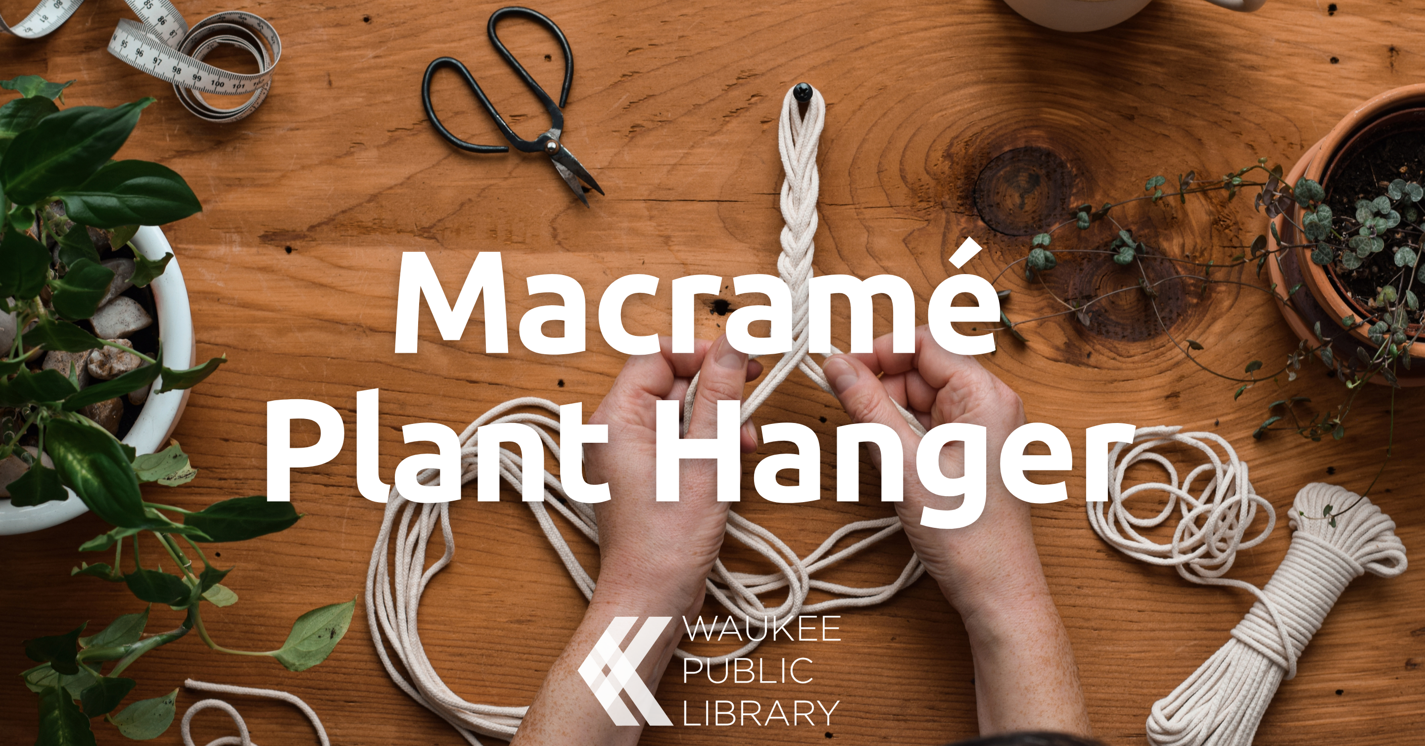 Macramé Plant Hanger 