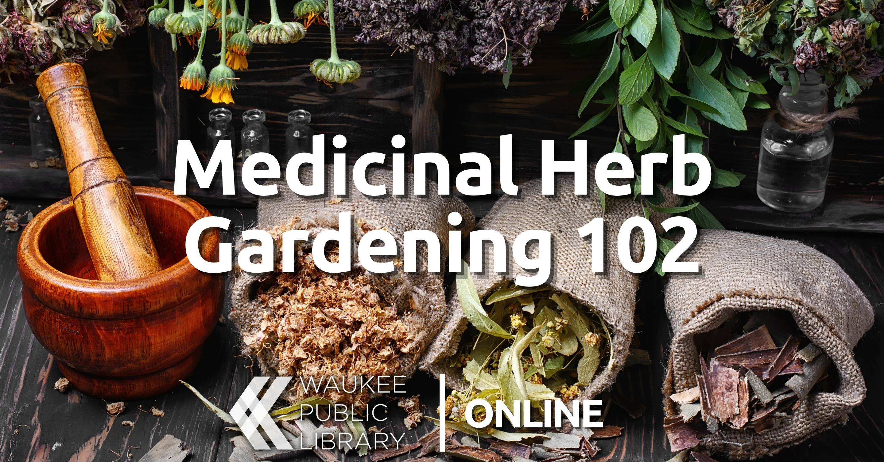 Medicinal Herb Gardening 102 (Online)