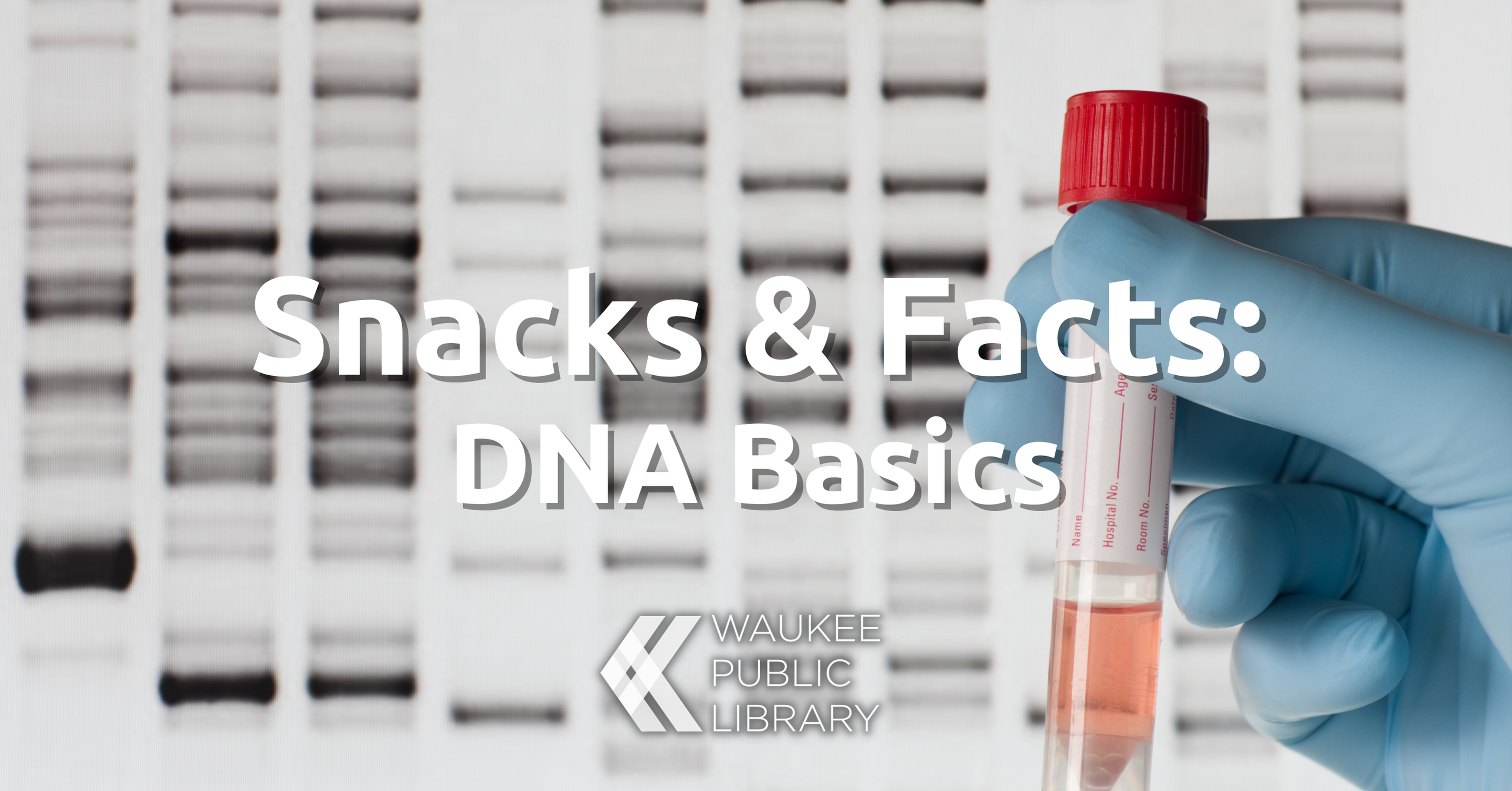 Snacks & Facts: DNA Basics