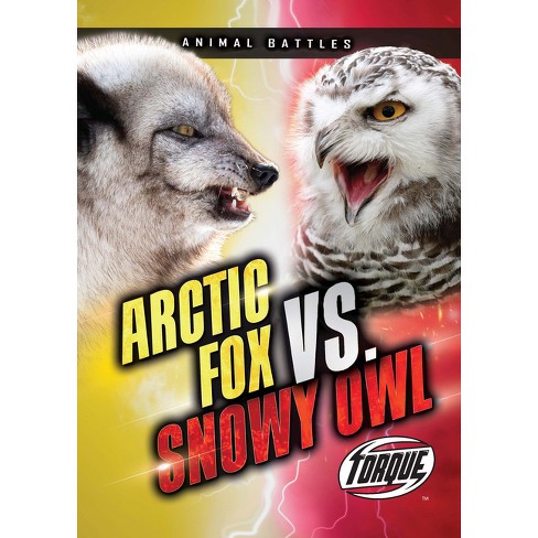 Image of the book cover Animal Battles: Arctic Fox vs Snowy Owl.