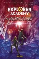 Falcon's feather book cover