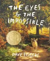 the eyes & the impossible cover