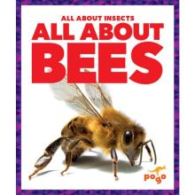 Image of All About Bees book cover.